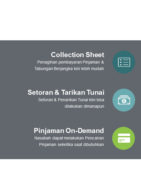 Collection Sheet, Setoran Tarikan Tunai, Pinjaman On-Demand